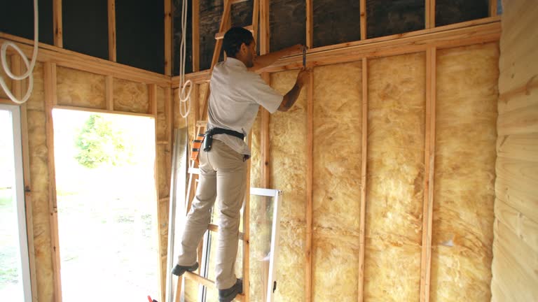 Best Wall Insulation Installation  in Powers Lake, WI